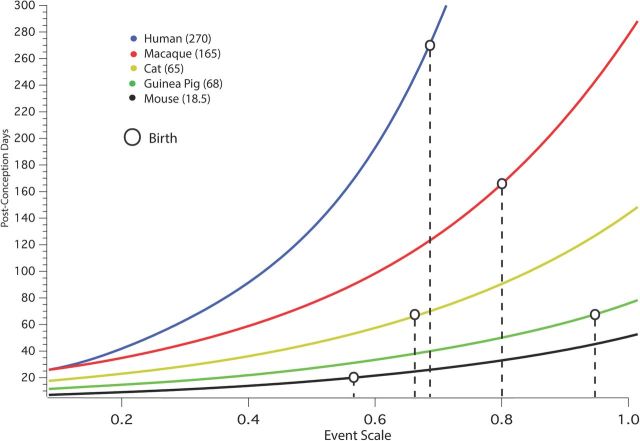 Figure 9.