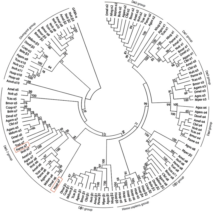 FIGURE 1