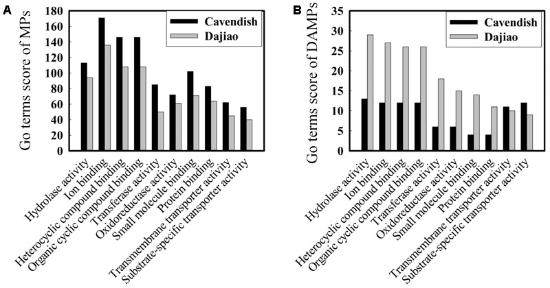 FIGURE 4