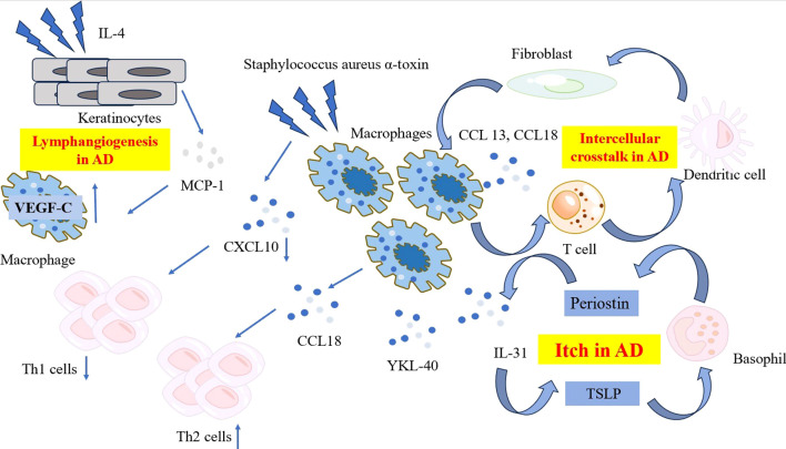 Figure 1