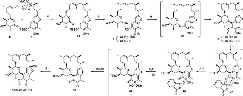 Scheme 4