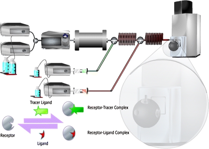 graphic file with name 216_2010_4406_Figa_HTML.jpg