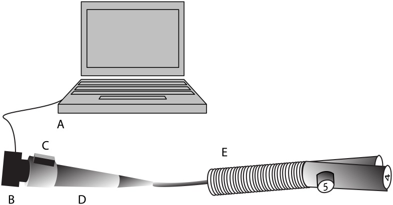 Fig 3