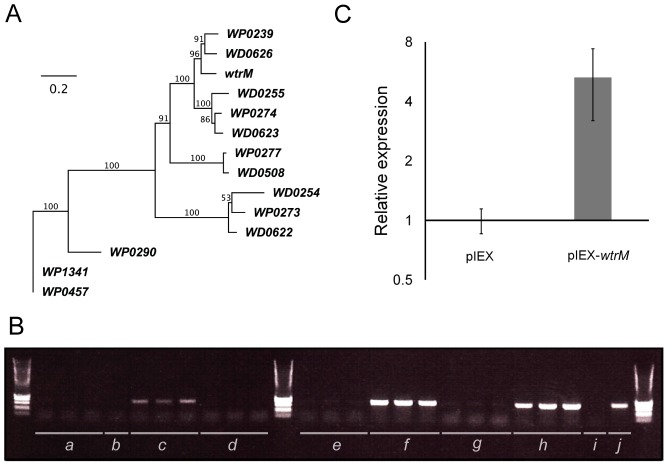 Figure 5