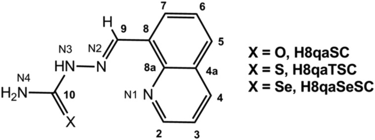 Scheme 1