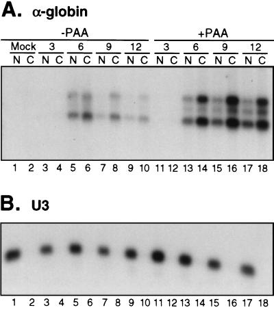 FIG. 6