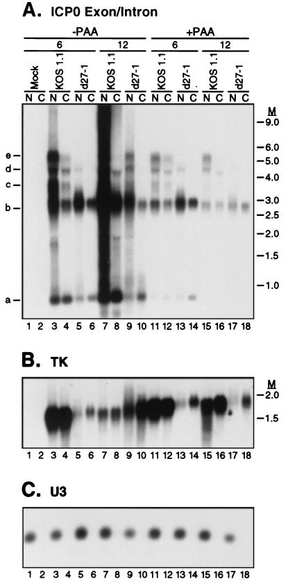 FIG. 7