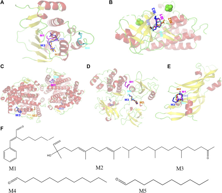 FIGURE 3