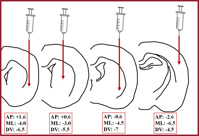 Fig. 3