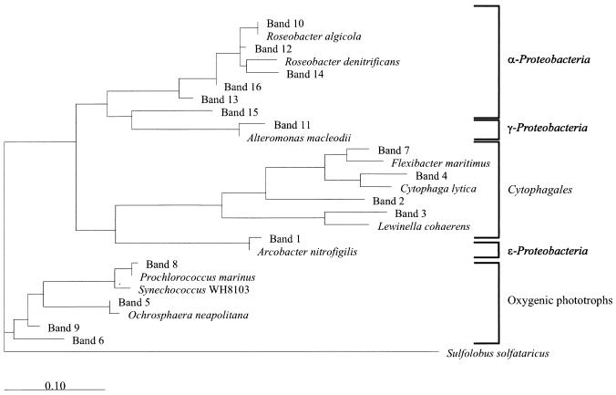 FIG. 5