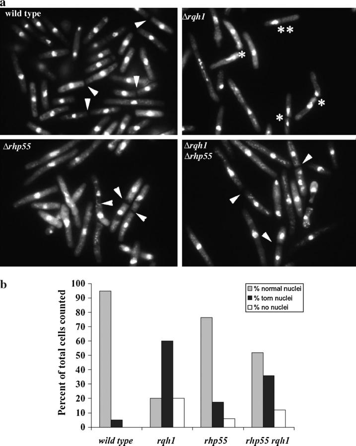 Figure 2.—