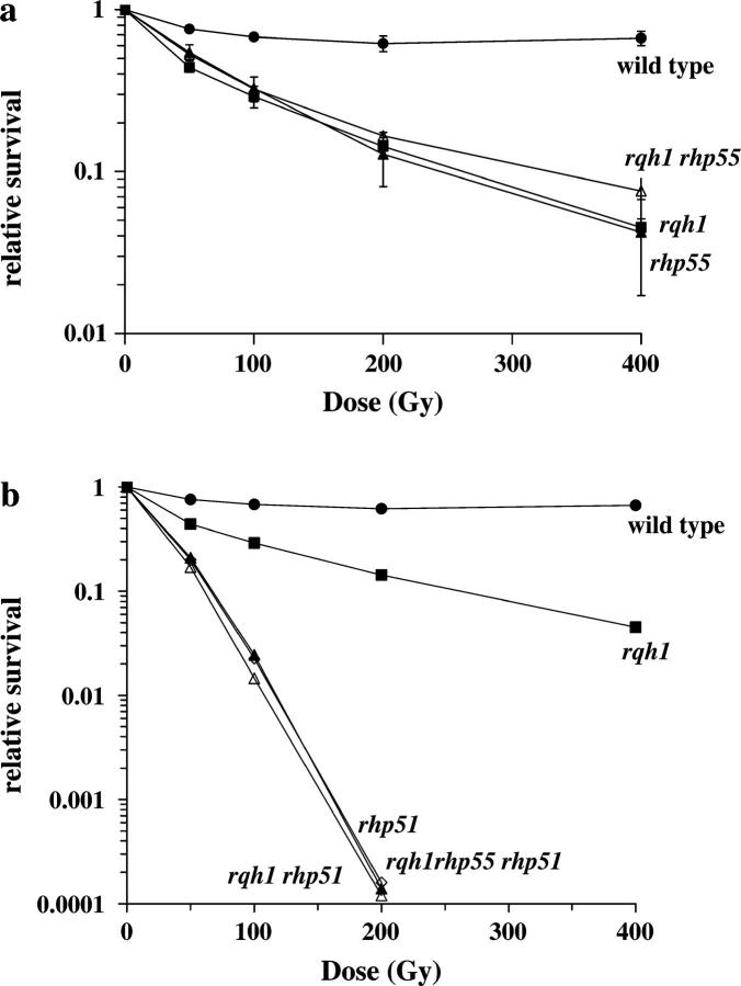 Figure 6.—