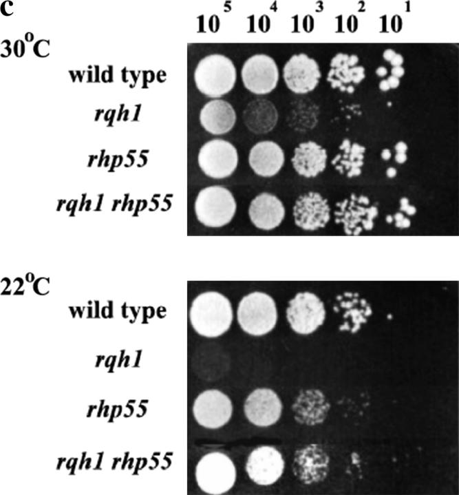 Figure 3.—