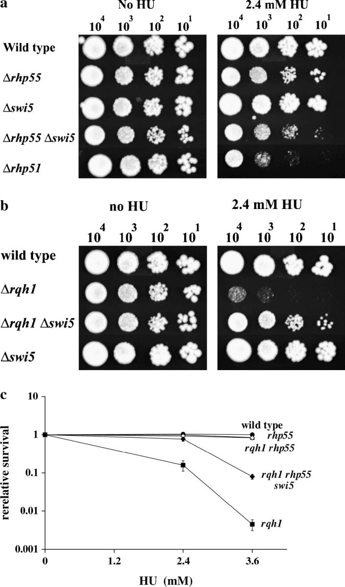 Figure 5.—