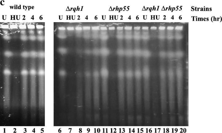 Figure 2.—