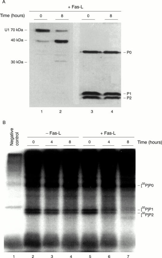 Figure 1  