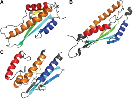 Fig. 8.