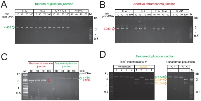 Figure 6