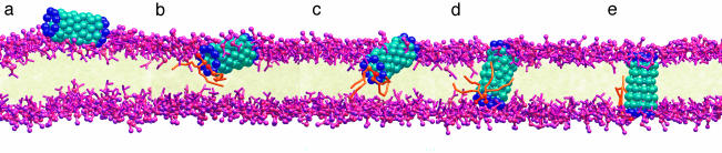 Fig. 2.