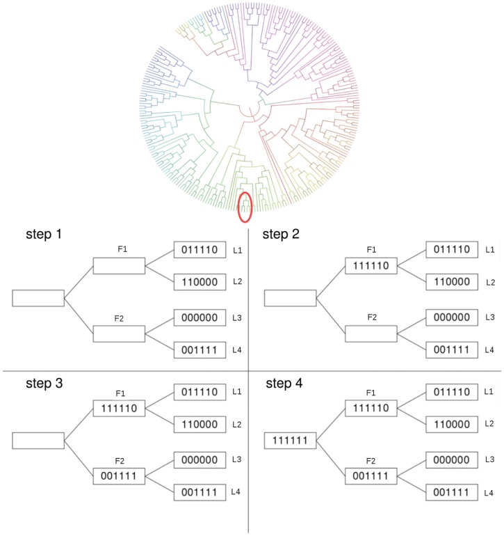 Fig 2