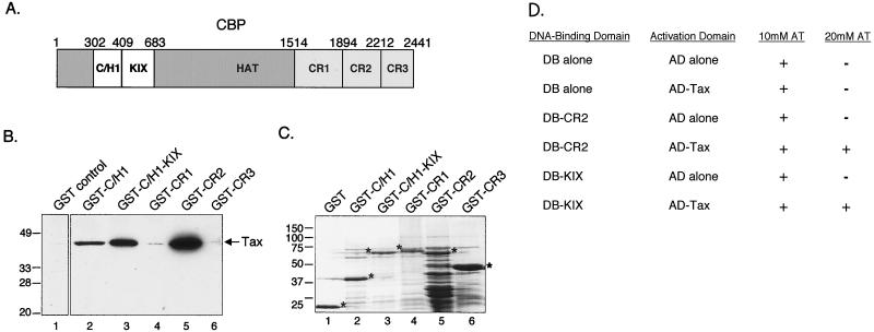 FIG. 1