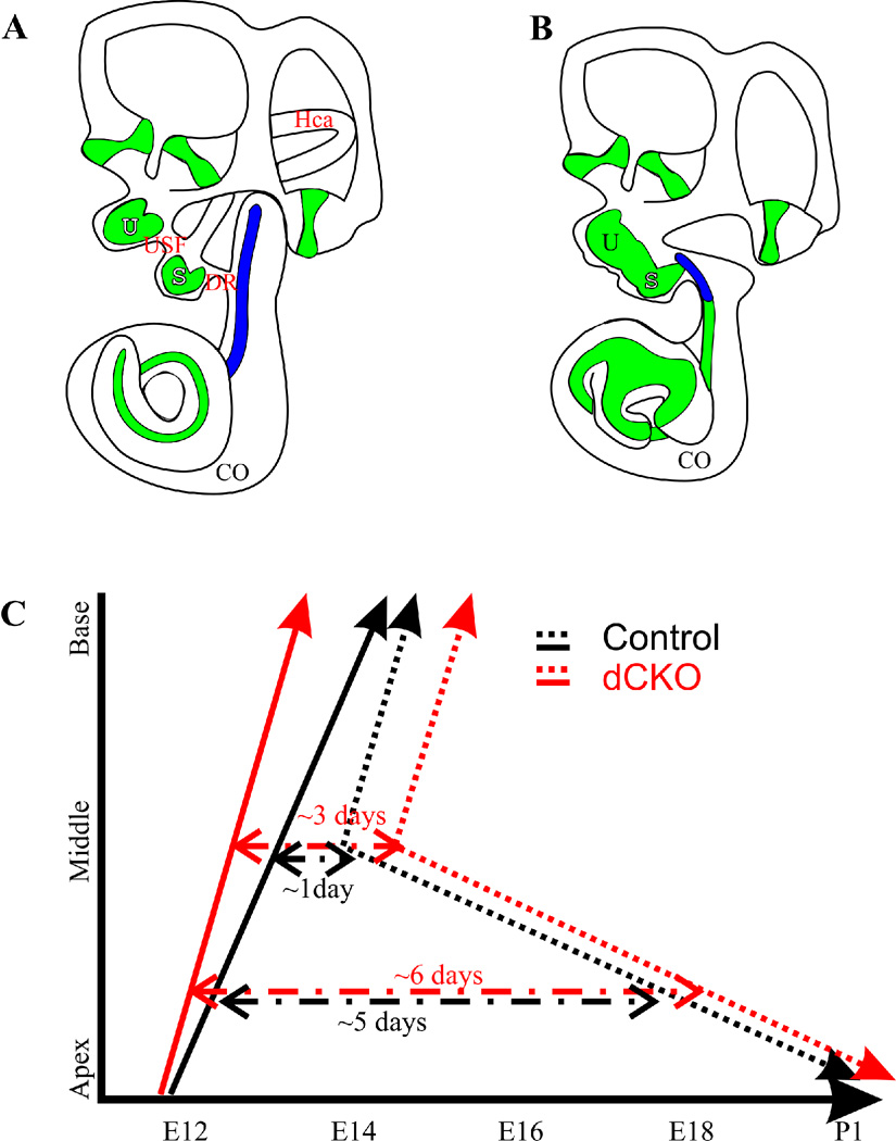 Figure 8