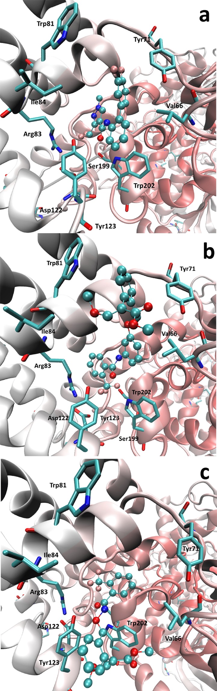 Figure 7