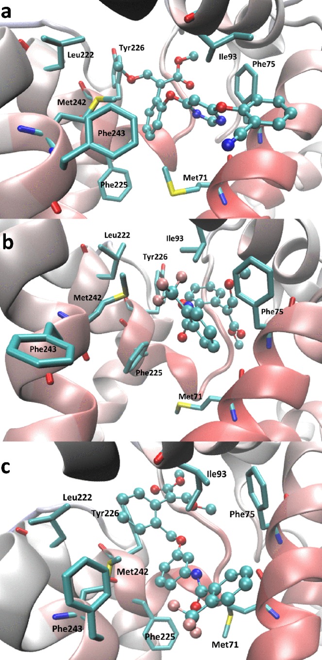 Figure 6