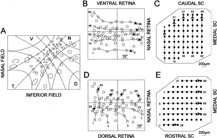 Fig. 2.