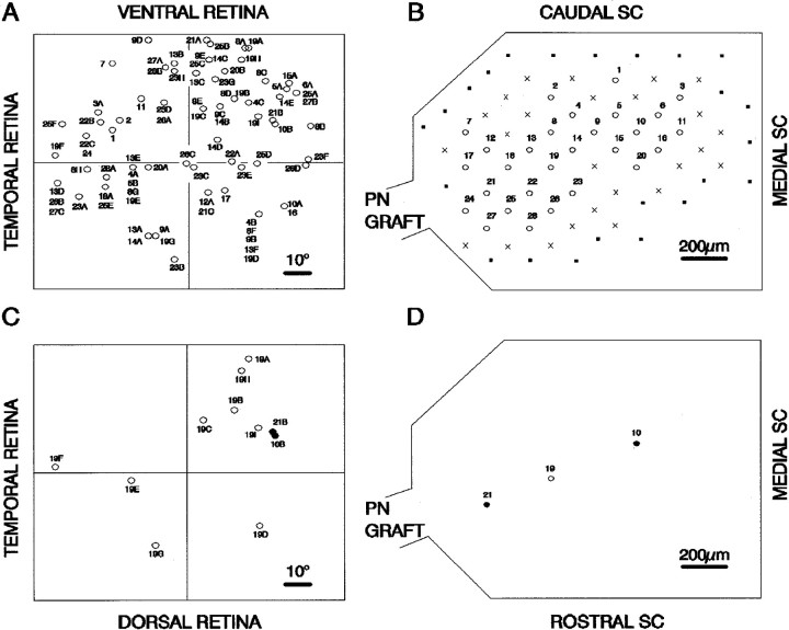 Fig. 3.