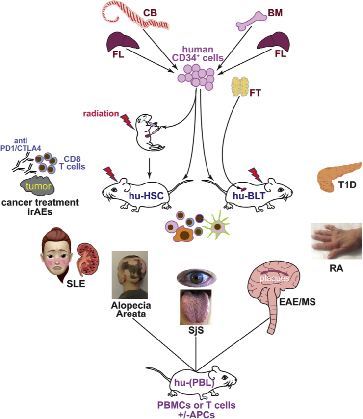 Fig. 1