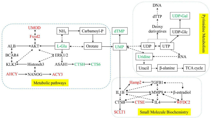 FIGURE 7