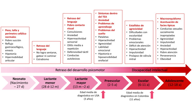 Figura 3