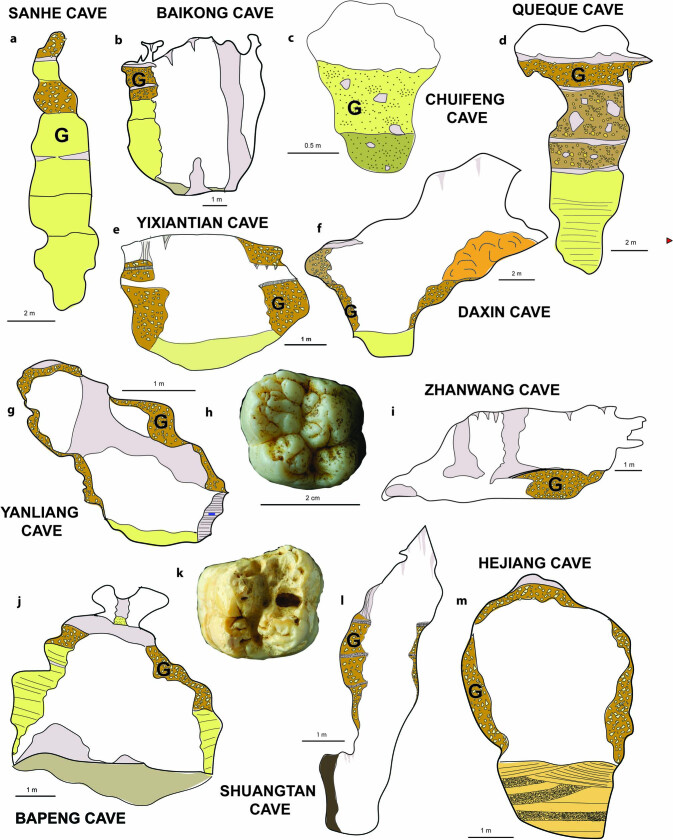 Extended Data Fig. 1