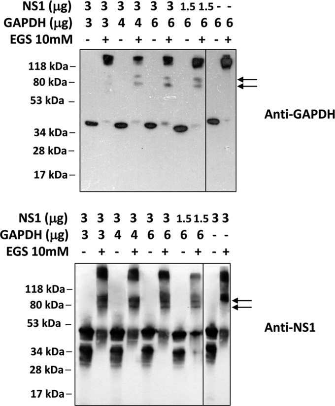 FIG 3