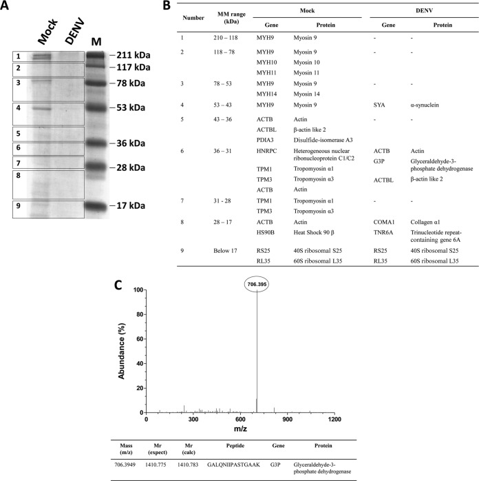 FIG 1