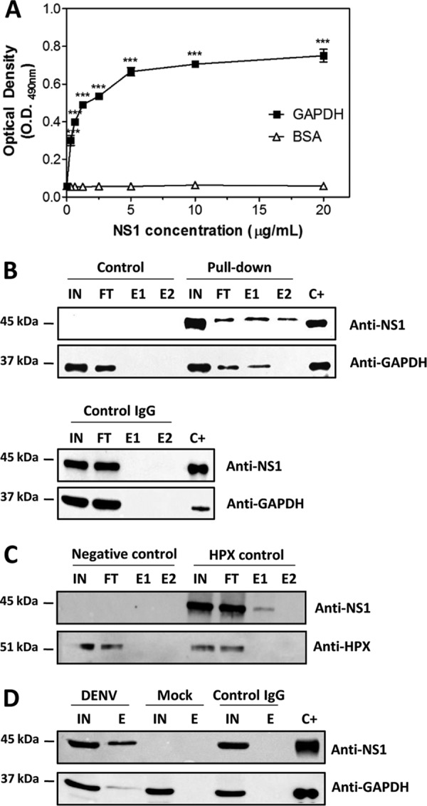 FIG 2