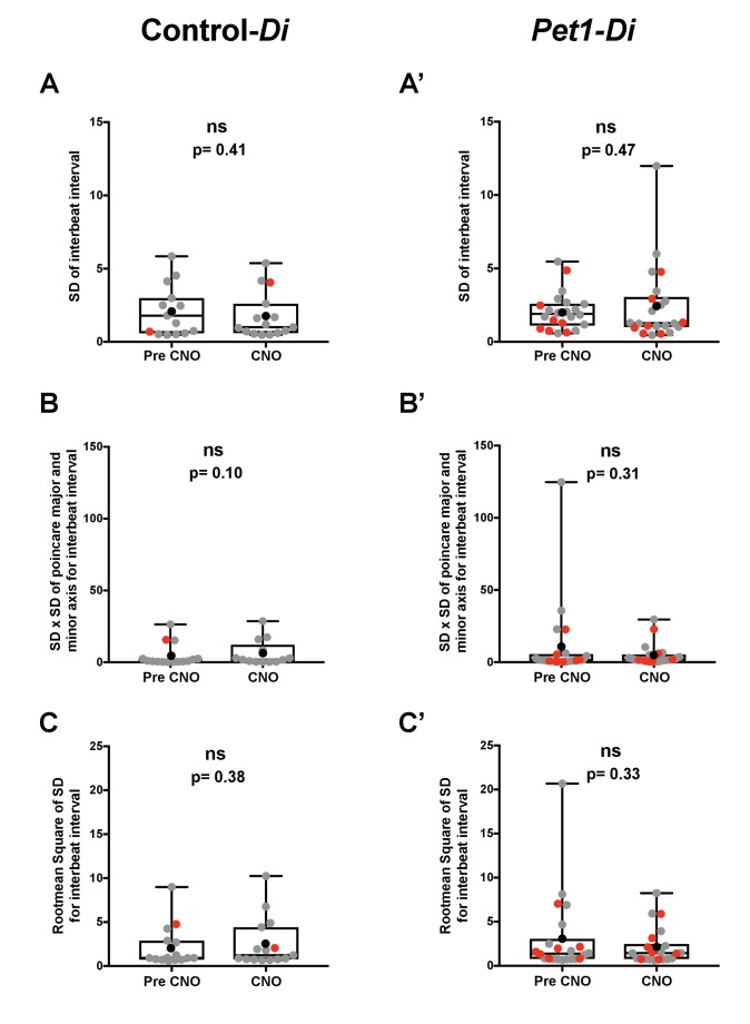 Figure 6—figure supplement 2.