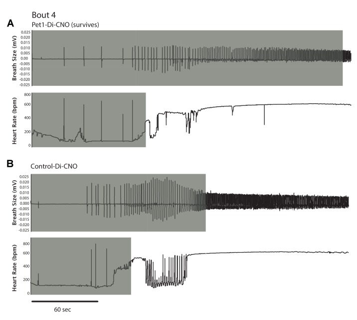 Figure 5—figure supplement 1.