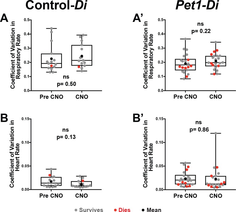 Figure 2—figure supplement 1.