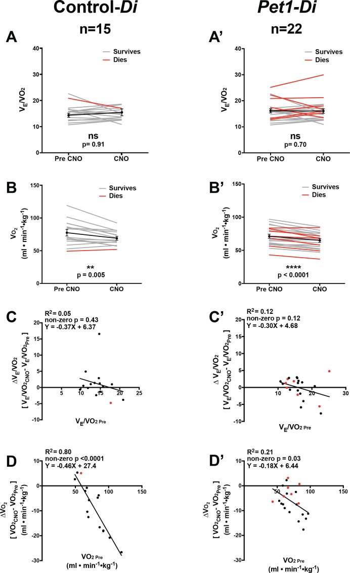 Figure 2—figure supplement 3.