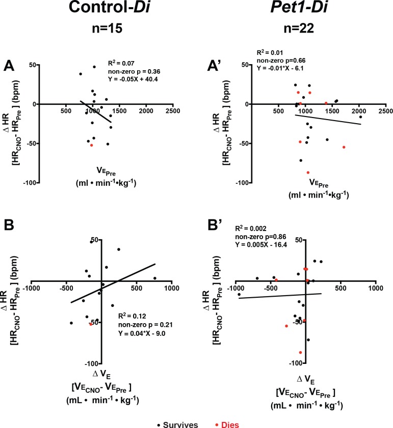 Figure 2—figure supplement 2.