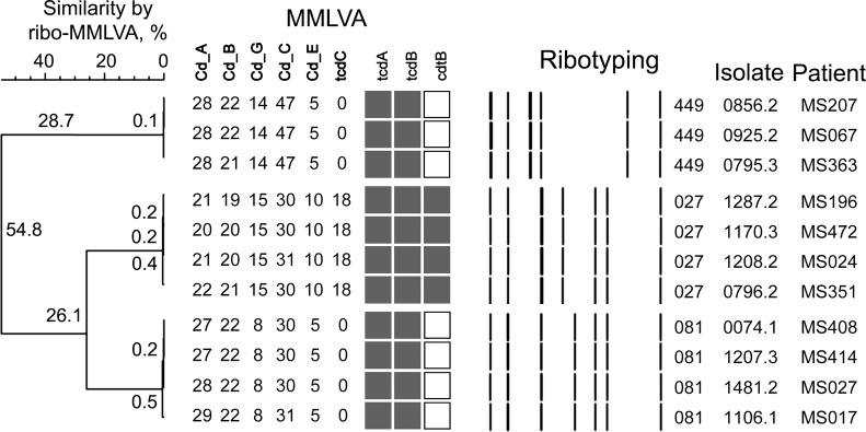 Fig 4