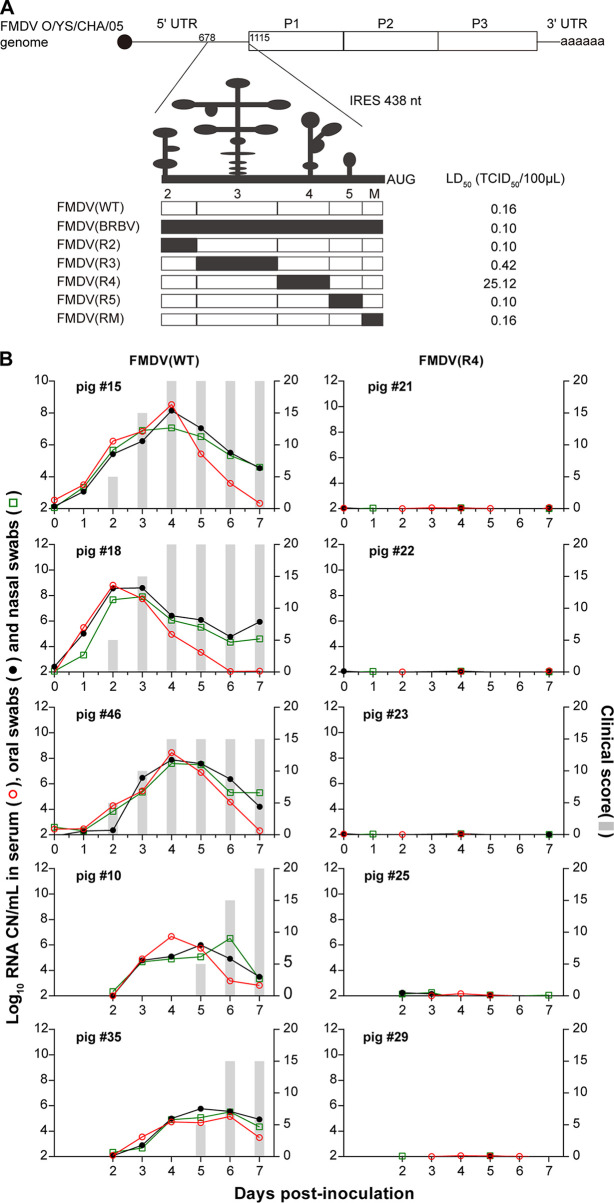 FIG 1