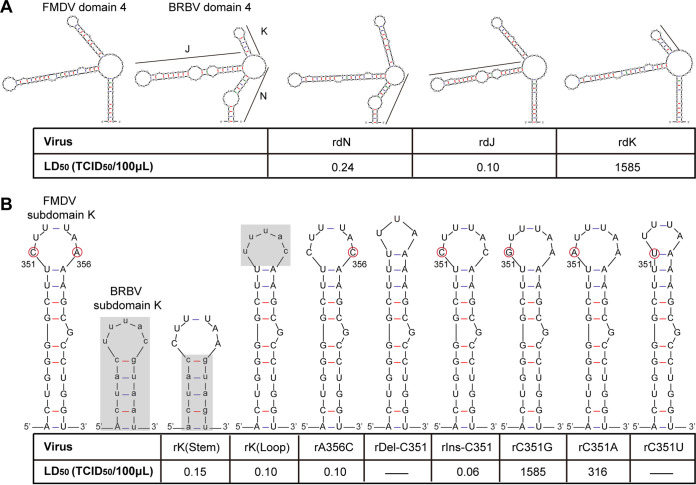 FIG 3