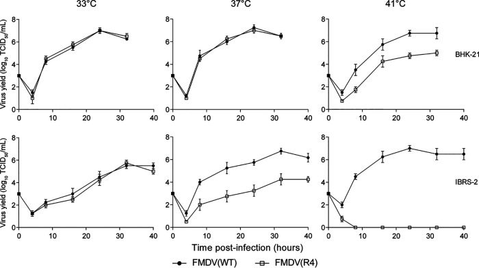 FIG 2