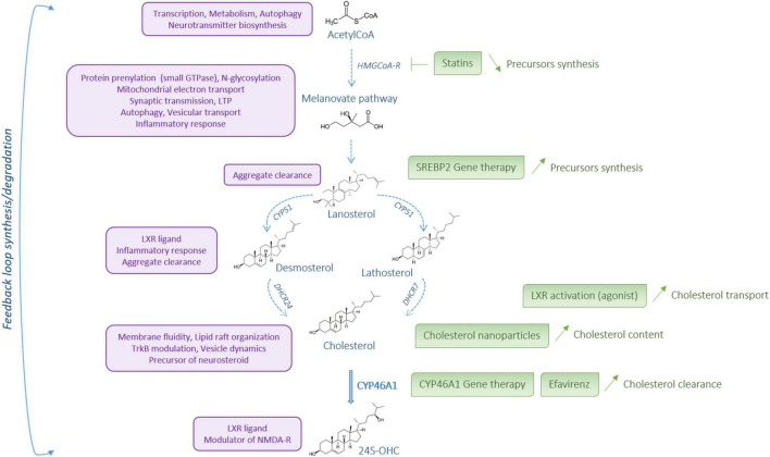 FIGURE 3