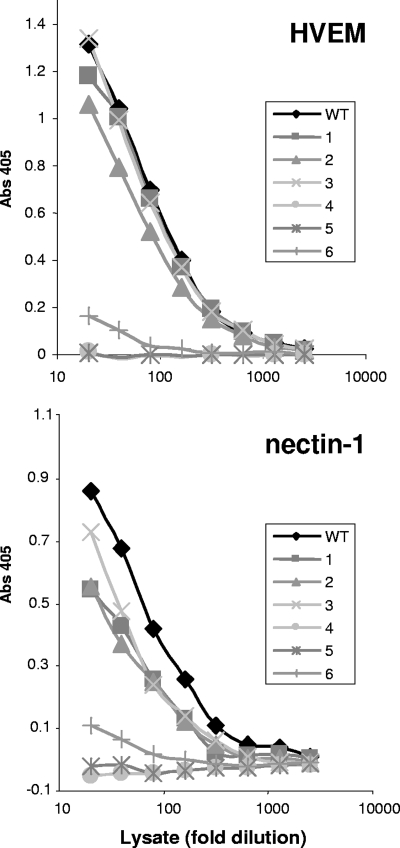 FIG. 4.