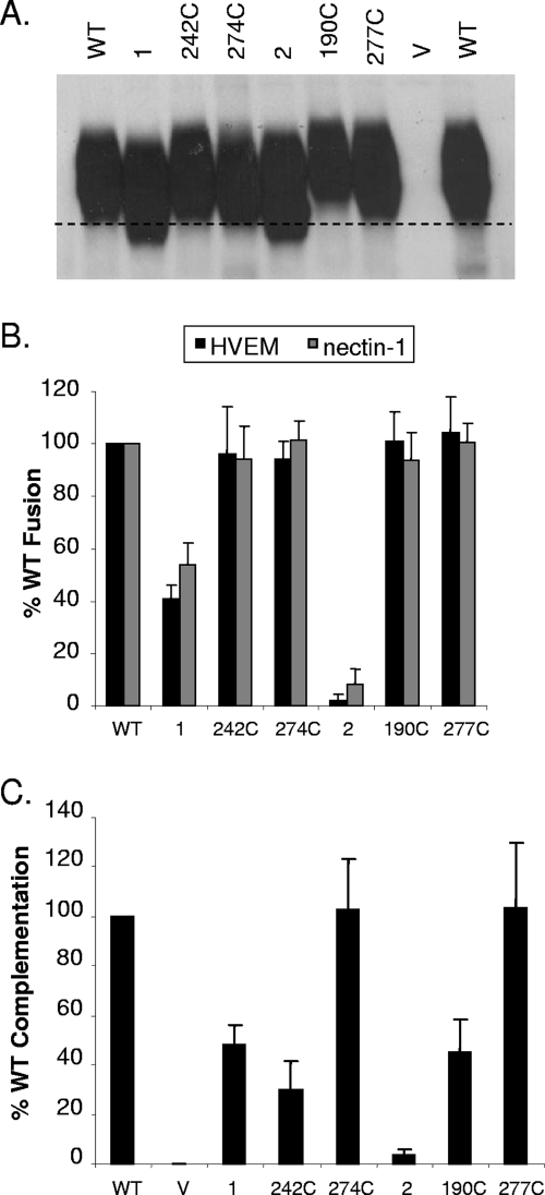 FIG. 8.