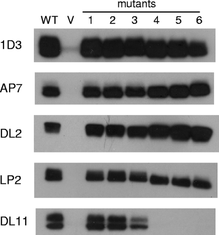 FIG. 3.